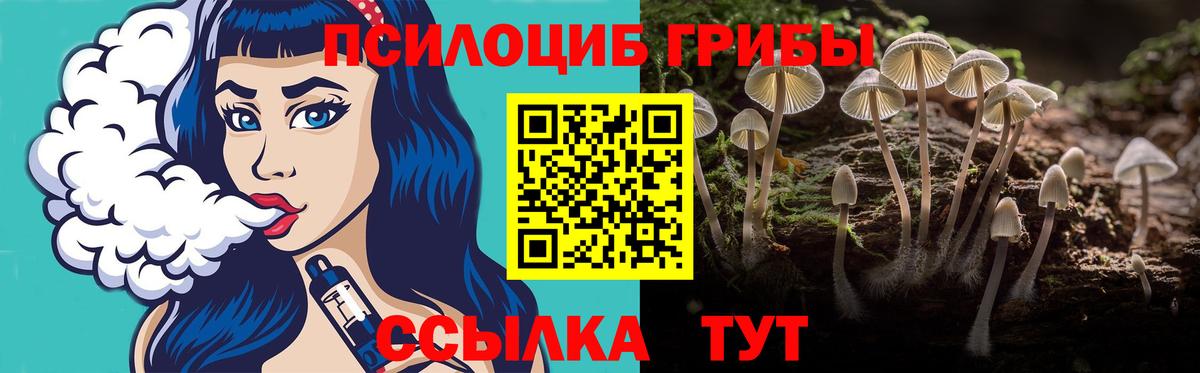 где купить   Галлюциногенные грибы мицелий  Псилоцибиновые грибы MAGIC MUSHROOMS  Вход с VPN  Когалым 