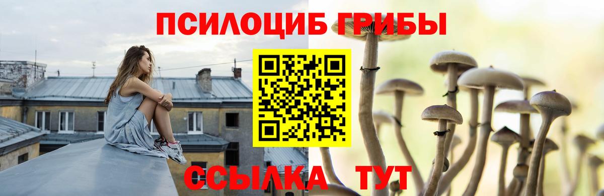 Галлюциногенные грибы Cubensis Когалым